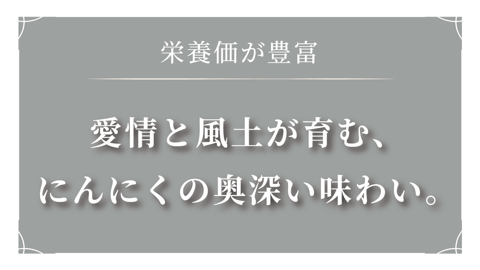 栄養価が豊富愛情と風土が育む、にんにくの味わい。